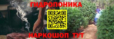 тгк Новоалександровск