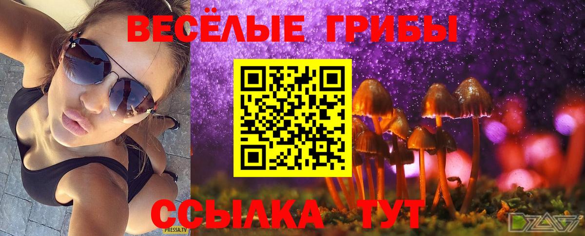 Галлюциногенные грибы ЛСД Новоалтайск